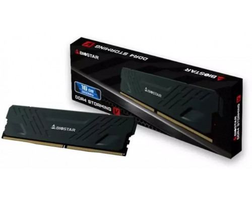 DDR4 Biostar 16GB 3200MHz Heatsink Storming
