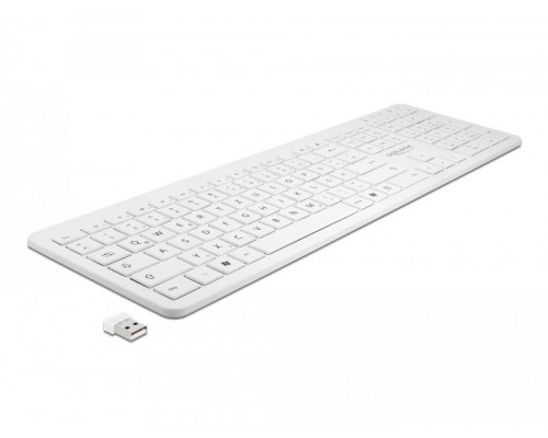 Delock USB 2,4 GHz bezprzewodowa biała (płaska) (12014)