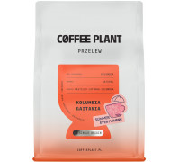 Coffee Plant - kawa ziarnista Kolumbia Gaitania Summer Everywhere Natural Filter 250 g (2101015644)