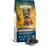 Divinus karma Divinus Performance for dogs aktywnych 42% mięsa 20kg