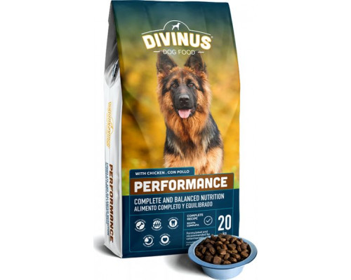 Divinus karma Divinus Performance for dogs aktywnych 42% mięsa 20kg