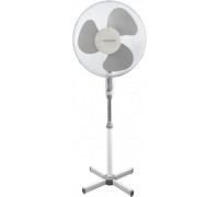 Esperanza Hurricane EHF001WE
