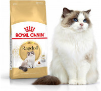 Royal Canin Ragdol Adult karma sucha dla kotów adults rasy ragdoll 10kg