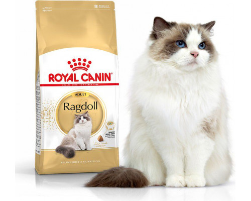 Royal Canin Ragdol Adult karma sucha dla kotów adults rasy ragdoll 10kg
