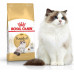 Royal Canin Ragdol Adult karma sucha dla kotów adults rasy ragdoll 10kg