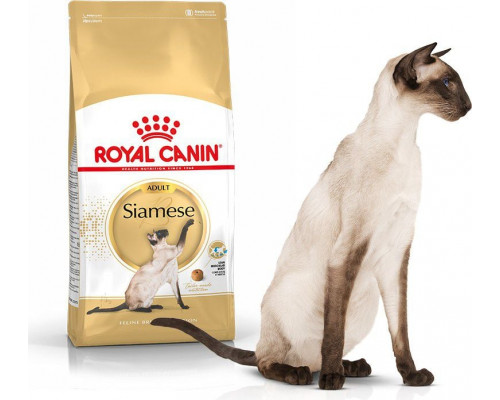 Royal Canin Siamese Adult karma sucha dla kotów adults rasy syjamskiej 2 kg