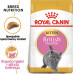 Royal Canin British Shorthair Kitten karma sucha dla kociąt, do 12 miesiąca, rasy brytyjski krótkowłosy 2kg