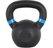 inSPORTline Powder cast iron 12 kg