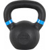 inSPORTline Powder cast iron 12 kg