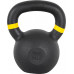 inSPORTline Powder cast iron 16 kg