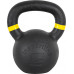 inSPORTline Powder cast iron 16 kg