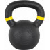 inSPORTline Powder cast iron 16 kg