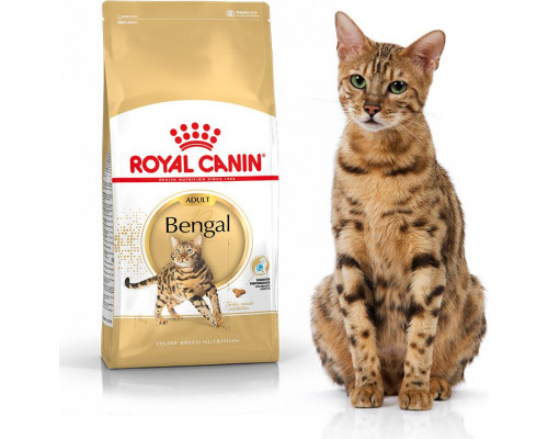 Royal Canin Bengal Adult karma sucha dla kotów adults rasy bengal 2kg