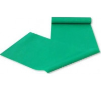 Master Guma do Ćwiczeń 120 x 15 x 0.5 mm zielona