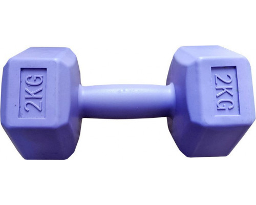Sportech Dumbbells kompozytowe 2x2 kg purple