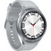 Smartwatch Samsung Galaxy Watch 6 Classic Stainless Steel 47mm LTE Gray  (SM-R965FZSAEUE)