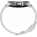 Smartwatch Samsung Galaxy Watch 6 Classic Stainless Steel 47mm LTE Gray  (SM-R965FZSAEUE)