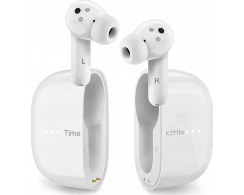 Timekettle TimeKettle M3 Online Translation Earbuds