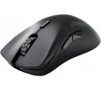 TRITON Glorious Model D 2 PRO Wireless, 1K Polling - black