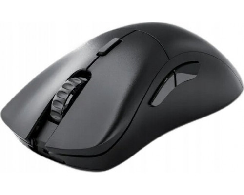 TRITON Glorious Model D 2 PRO Wireless, 1K Polling - black