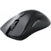 TRITON Glorious Model D 2 PRO Wireless, 1K Polling - black