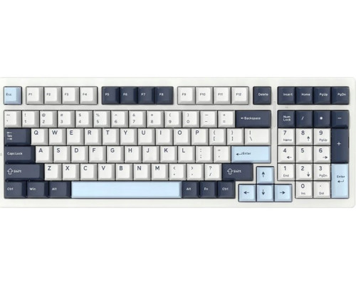 Endgame Gear VGN S99 Gaming Tastatur Faraway, Box Ice Cream - Mountain Blue (US)