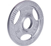 inSPORTline stalowe Hamerton 1,25kg 30mm - 12708