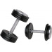 inSPORTline ‎‎Hantel ProfiST cast iron 1 x 10 kg