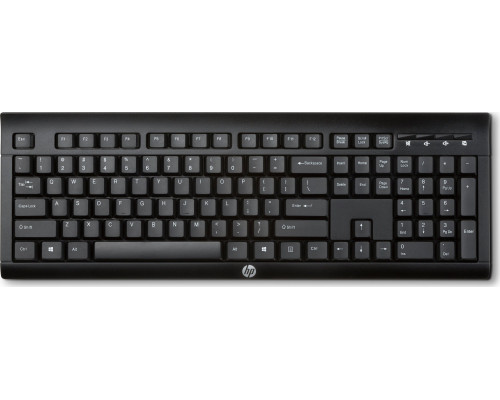 HP Wireless Keyboard K2500 Spa