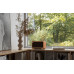 Edifier D32 brown (D32 WD)