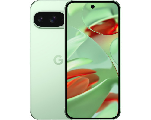 Google Pixel 9 - 256 GB - Wintergreen