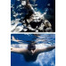Selfie nūjiņa Telesin Ūdensizturīga Pašportreta nūjiņa Nūja ar Pultu GoPro HERO 13 12 11 10 9 MAX / GP-WBT-001