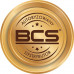 BCS Kamera kopułowa IP 4Mpx BCS-P-DMIP24FSR3-Ai2-G, BCS Point, WDR 120dB, IR 30m