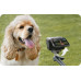 Insta360 Ace Pro 2 Dual Battery black