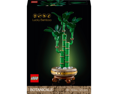 Botanicals Dracena sandera (10344)