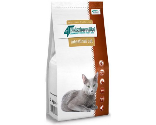 VetExpert 4t Veterinary Diet Cat Intestinal 2kg