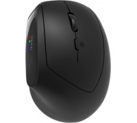 CANYON mouse MW-25 Ergonomic LED AA Dual mode Wireless Black