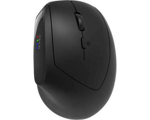CANYON mouse MW-25 Ergonomic LED AA Dual mode Wireless Black