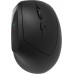 CANYON mouse MW-25 Ergonomic LED AA Dual mode Wireless Black