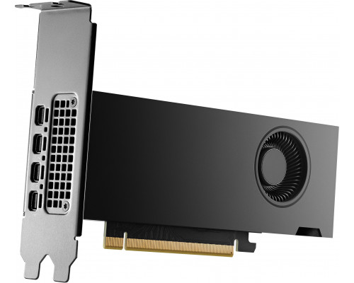 HP RTX 2000 Ada Generation 16GB GDDR6 (8D6B8AA)