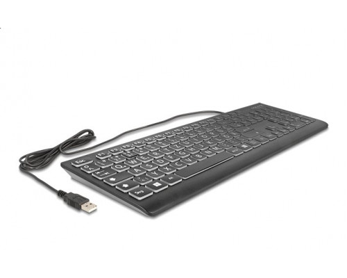 DELOCK USB Tastatur kabelgebunden 1.5m schwarz mit XXL Buchstaben und Beleuchtung