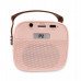 NN PM1 wireless portable zestaw karaoke