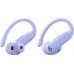 Beats Powerbeats Pro 2 True Wireless Earbuds, Hyper Violet