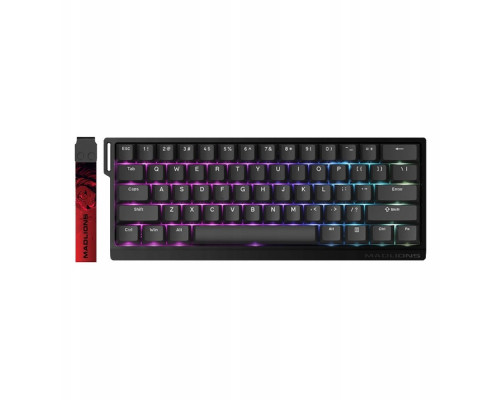 FGG MAD60 HE RGB, Magnetic Amber PRO Switch, Black