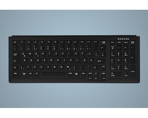 Active Key AK-7000 - Tastatur - PS/2 - USA - Schwarz