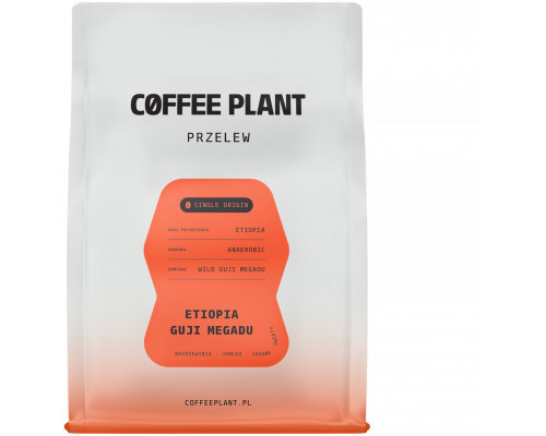 COFFEE PLANT - kawa ziarnista Etiopia Guji Megadu Anaerobic Filter 250 g
