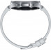 Smartwatch Samsung Galaxy Watch 6 Classic Stainless Steel 43mm Gray  (SM-R950NZSAXEF)
