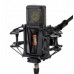 Lewitt PURE TUBE Studio Set lampowy mikrofon kardioidalny z akcesoriami