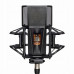 Lewitt PURE TUBE Studio Set lampowy mikrofon kardioidalny z akcesoriami