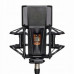 Lewitt PURE TUBE Studio Set lampowy mikrofon kardioidalny z akcesoriami